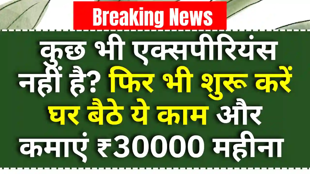 Work From Home: कुछ भी एक्सपीरियंस नहीं है? फिर भी शुरू करें घर बैठे ये काम और कमाएं ₹30000 महीना